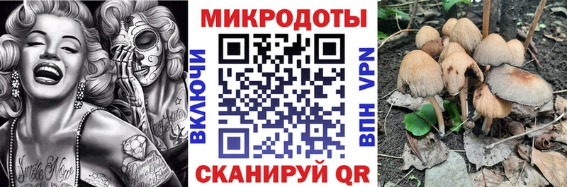 Купить Боровск Псилоцибиновые грибы Psilocybe